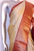 Handloom Wedding Kanjeevaram Silk Saree